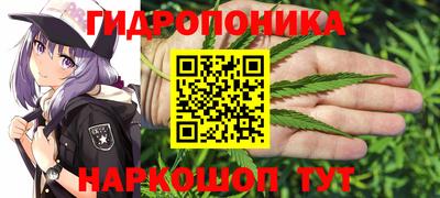 тгк Гусев