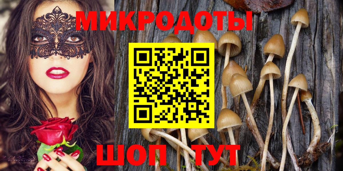 Медногорск  Псилоцибиновые грибы Psilocybine cubensis  Вход с VPN 