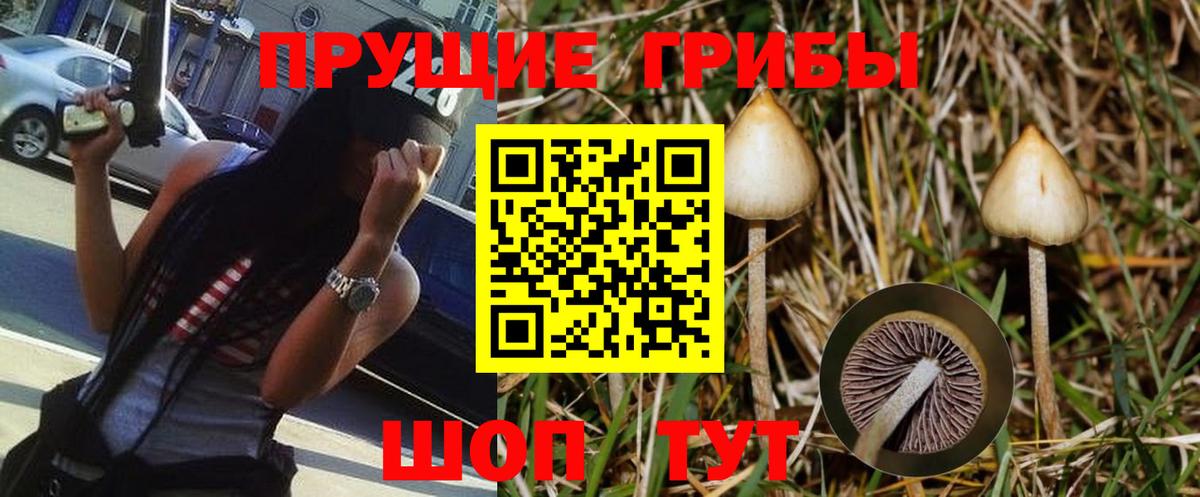 Галлюциногенные грибы мухоморы Медногорск